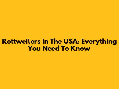 Rottweilers In The USA: Everything You Need To Know