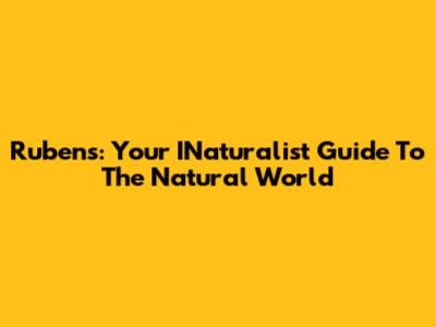Rubens: Your INaturalist Guide To The Natural World