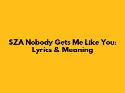 SZA Nobody Gets Me Like You: Lyrics & Meaning