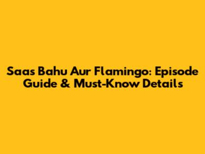 Saas Bahu Aur Flamingo: Episode Guide & Must-Know Details