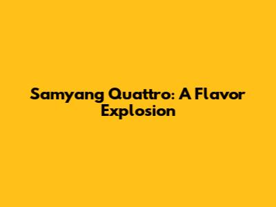 Samyang Quattro: A Flavor Explosion