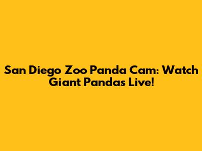 San Diego Zoo Panda Cam: Watch Giant Pandas Live!