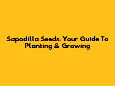 Sapodilla Seeds: Your Guide To Planting & Growing
