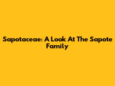 Sapotaceae: A Look At The Sapote Family