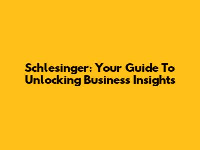 Schlesinger: Your Guide To Unlocking Business Insights