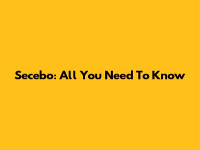 Secebo: All You Need To Know