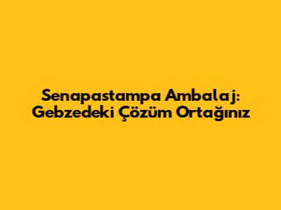 Senapastampa Ambalaj: Gebze'deki Çözüm Ortağınız