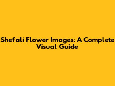 Shefali Flower Images: A Complete Visual Guide