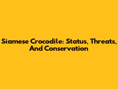 Siamese Crocodile: Status, Threats, And Conservation