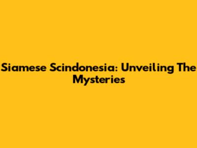 Siamese Scindonesia: Unveiling The Mysteries