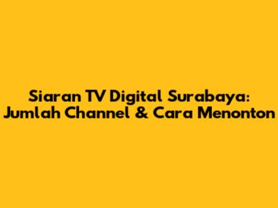 Siaran TV Digital Surabaya: Jumlah Channel & Cara Menonton