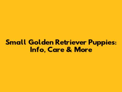 Small Golden Retriever Puppies: Info, Care & More