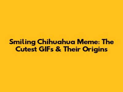 Smiling Chihuahua Meme: The Cutest GIFs & Their Origins