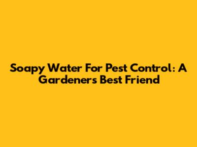 Soapy Water For Pest Control: A Gardener's Best Friend