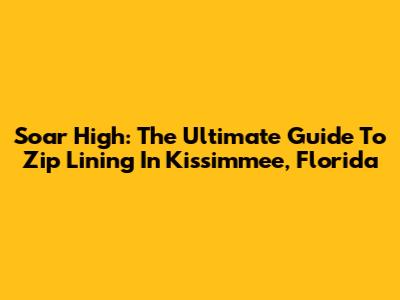 Soar High: The Ultimate Guide To Zip Lining In Kissimmee, Florida