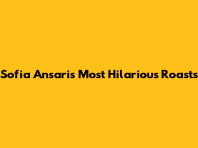 Sofia Ansari's Most Hilarious Roasts