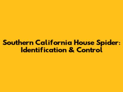 Southern California House Spider: Identification & Control