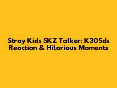 Stray Kids SKZ Talker: K305ds Reaction & Hilarious Moments