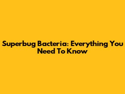 Superbug Bacteria: Everything You Need To Know