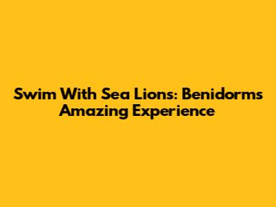 Swim With Sea Lions: Benidorm's Amazing Experience