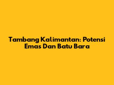 Tambang Kalimantan: Potensi Emas Dan Batu Bara