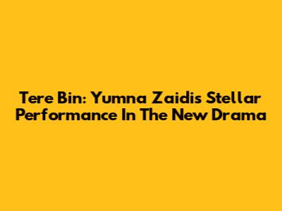 Tere Bin: Yumna Zaidi's Stellar Performance In The New Drama