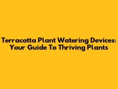 Terracotta Plant Watering Devices: Your Guide To Thriving Plants