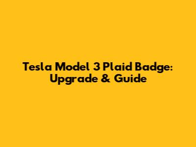 Tesla Model 3 Plaid Badge: Upgrade & Guide