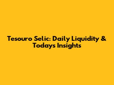 Tesouro Selic: Daily Liquidity & Today's Insights