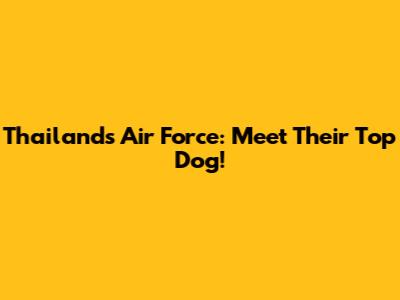 Thailand's Air Force: Meet Their Top Dog!