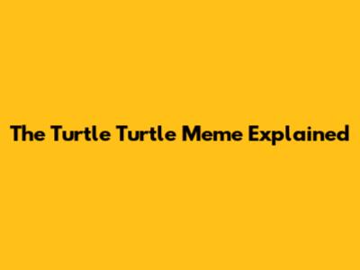 The "Turtle Turtle" Meme Explained
