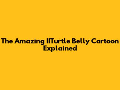 The Amazing IITurtle Belly Cartoon Explained