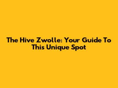 The Hive Zwolle: Your Guide To This Unique Spot