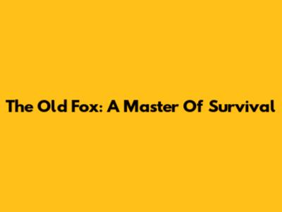 The Old Fox: A Master Of Survival