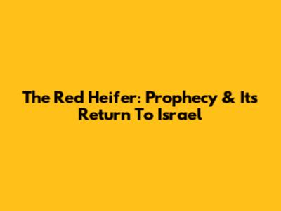 The Red Heifer: Prophecy & Its Return To Israel