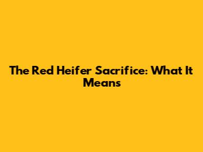 The Red Heifer Sacrifice: What It Means