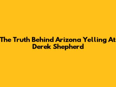 The Truth Behind Arizona Yelling At Derek Shepherd