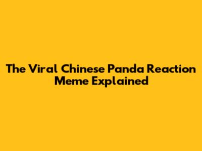 The Viral Chinese Panda Reaction Meme Explained