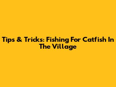 Tips & Tricks: Fishing For Catfish In The Village