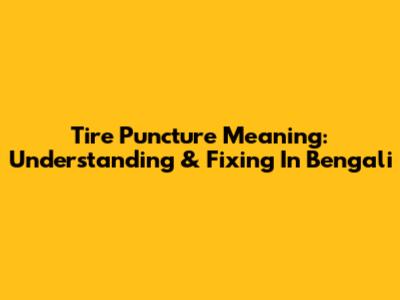 Tire Puncture Meaning: Understanding & Fixing In Bengali