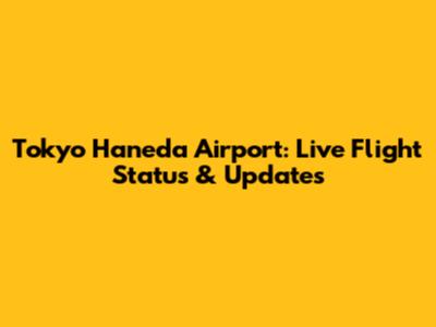 Tokyo Haneda Airport: Live Flight Status & Updates