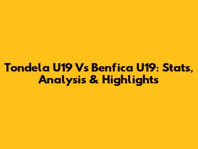 Tondela U19 Vs Benfica U19: Stats, Analysis & Highlights