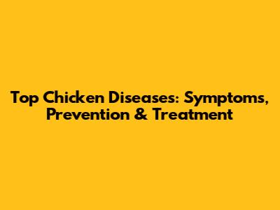 Top Chicken Diseases: Symptoms, Prevention & Treatment