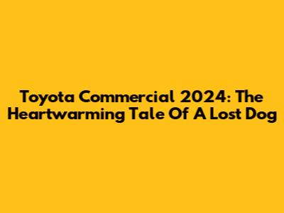 Toyota Commercial 2024: The Heartwarming Tale Of A Lost Dog