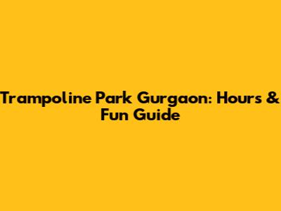 Trampoline Park Gurgaon: Hours & Fun Guide