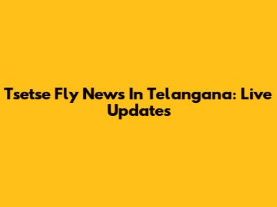 Tsetse Fly News In Telangana: Live Updates