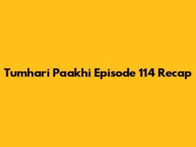 Tumhari Paakhi Episode 114 Recap