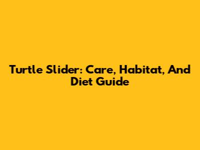 Turtle Slider: Care, Habitat, And Diet Guide