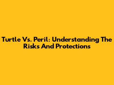 Turtle Vs. Peril: Understanding The Risks And Protections