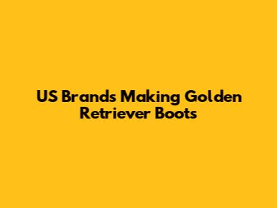 US Brands Making Golden Retriever Boots
